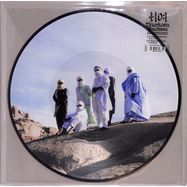 Front View : Tinariwen - AMATSSOU (DELUXE) BONUS TRACKS (LTD. PICTURE DISC LP) - Wedge / WEDGEEP0123
