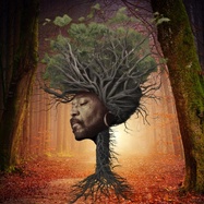 Front View : Osunlade - INNER GARDEN (LP) - Yoruba Records / YSD146