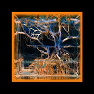Front View : Batu - QUESTION MARK - Lethal Press / LP-I