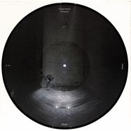 Front View : Infamy - FLYING SWORDS / PERPLEXED (PICTURE DISC) - Inperspective Records / INP019