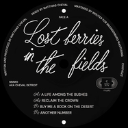 Front View : Mmmh Aka Cheval Detroit - LOST BERRIES IN THE FIELDS - Chapelle XIV Music / CHXIV021