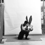 Front View : Coloray - DOGMA (LP) - Intercept / INT090LP