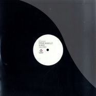 Front View : Steve Angello & AN21 - VALODJA - Size Records / SIZE032