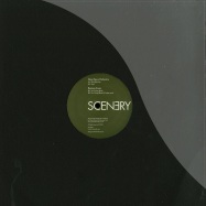 Front View : Deep Space Orchestra / Bantam Lions - WE HELD ON - Scenery Records / SCN002