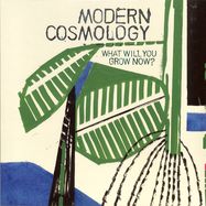 Front View : Modern Cosmology - WHAT WILL YOU GROW NOW? (LP) - Duophonic Super 45s / 00158779