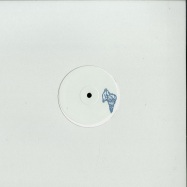 Front View : Demi Riquisimo - A LIFETIME ON THE HIPS (VINYL ONLY) - Semi Delicious / SEMID001