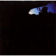 Front View :  Daniel Norgren - BLACK VULTURES (LP) - Superpuma / LPPUMA7