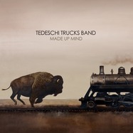 Front View : Tedeschi Trucks Band - MADE UP MIND (2LP) - MUSIC ON VINYL / MOVLPR902