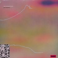 Front View : Ess Whiteley - MYCORRHIZAL MUSIC (LP) - Metron Records / MTR020