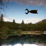 Front View : Tomu DJ - ANTAGONIST (LP) - SOUND AS LANGUAGE / LPSASL46