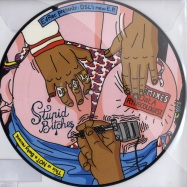 Front View : Dj DSL - STUPID BITCHES (PICTURE 12 INCH) - Ed Banger / bec5772549