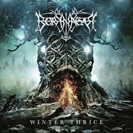 Front View : Borknagar - WINTER THRICE (CLEAR 2LP IN GATEFOLD) (2LP) - Atomic Fire Records / 425198170289