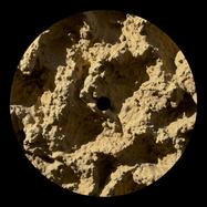 cov-xw