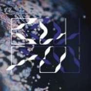 Front View : Bufobufo - RANIDAE EP - Analogical Force / AF065