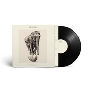 Front View : Liz Lawrence - VESPERS (LP) - CHRYSALIS FRONTLINE / BRV557