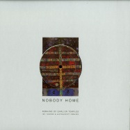 Front View : Nobody Home (aka Minilogue) - REMAINS OF EARLIER TEMPLES (SKUDGE RMX / VINYL ONLY) (REPRESS) - Danse Club Records / DCR047