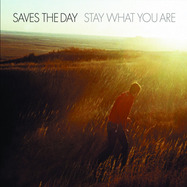 Front View : Saves The Day - STAY WHAT YOU ARE (LTD SPLATTER 2X10 INCH LP) - Vagrant Records / 00154860
