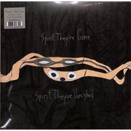 Front View : Animal Collective - SPIRIT THEY RE GONE, SPIRIT THEY VE VANISHED (2LP) - Domino Records / REWIGLP175