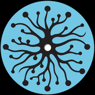 Front View : Mattias El Mansouri - SENSE DATA - Phonica Records / PHONICA044