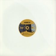 Front View : Vesicle - ACID VIOLENCE / STREETWISE (THE BASSIST REMIX) - Terminal Dusk / td026