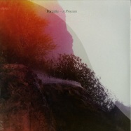 Front View : Portable - A PROCESS - Live At Robert Johnson / Playrjc 021