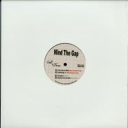 Front View : Various Artists - MIND THE GAP - Wall of Fame / WOFV05