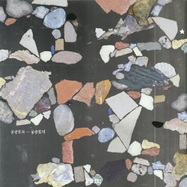 Front View : Mid-Air Thief - GONGJOONG DODUK (LP) - Topshelf Records / LPTSRC222