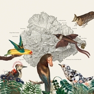 Front View : Friendly Rich - THE BIRDS OF MARSVILLE (LP) - WE ARE BUSY BODIES / LPWABB208