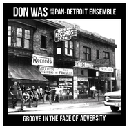 Front View : Don Was - GROOVE IN THE FACE OF ADVERSITY (LP) - MACK AVENUE / LPMACK12381