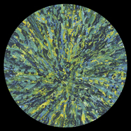 Front View : Zenker Brothers - ILLUSION - Ilian Tape / IT075