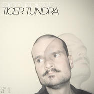 Front View : Rico Friebe - TIGER TUNDRA (CD) - Time In The Special Practiceofrelativity / reltime04c