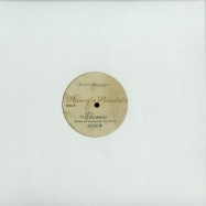 Front View : Theo Parrish - PIECES OF A PARADOX - Sound Signature / SS004