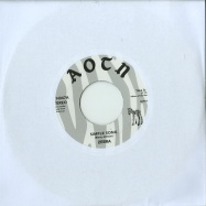 Front View : Zebra - SIMPLE SONG (7 INCH) - Athens Of The North  / ATH047