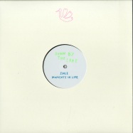 Front View : Saile - MOMENTS IN LIFE (CHRISTOPHER RAU REMIX)(VINYL ONLY) - Down by The Lake / Down by the Lake 03