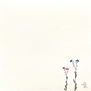 Front View : dwig - BEYOND CRY AND SMILE EP - nextprophets / npr01