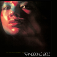 Front View : Jiro Inagaki & Soul Media - WANDERING BIRDS - Nipponophone / COJY-9552 / COJA-9552