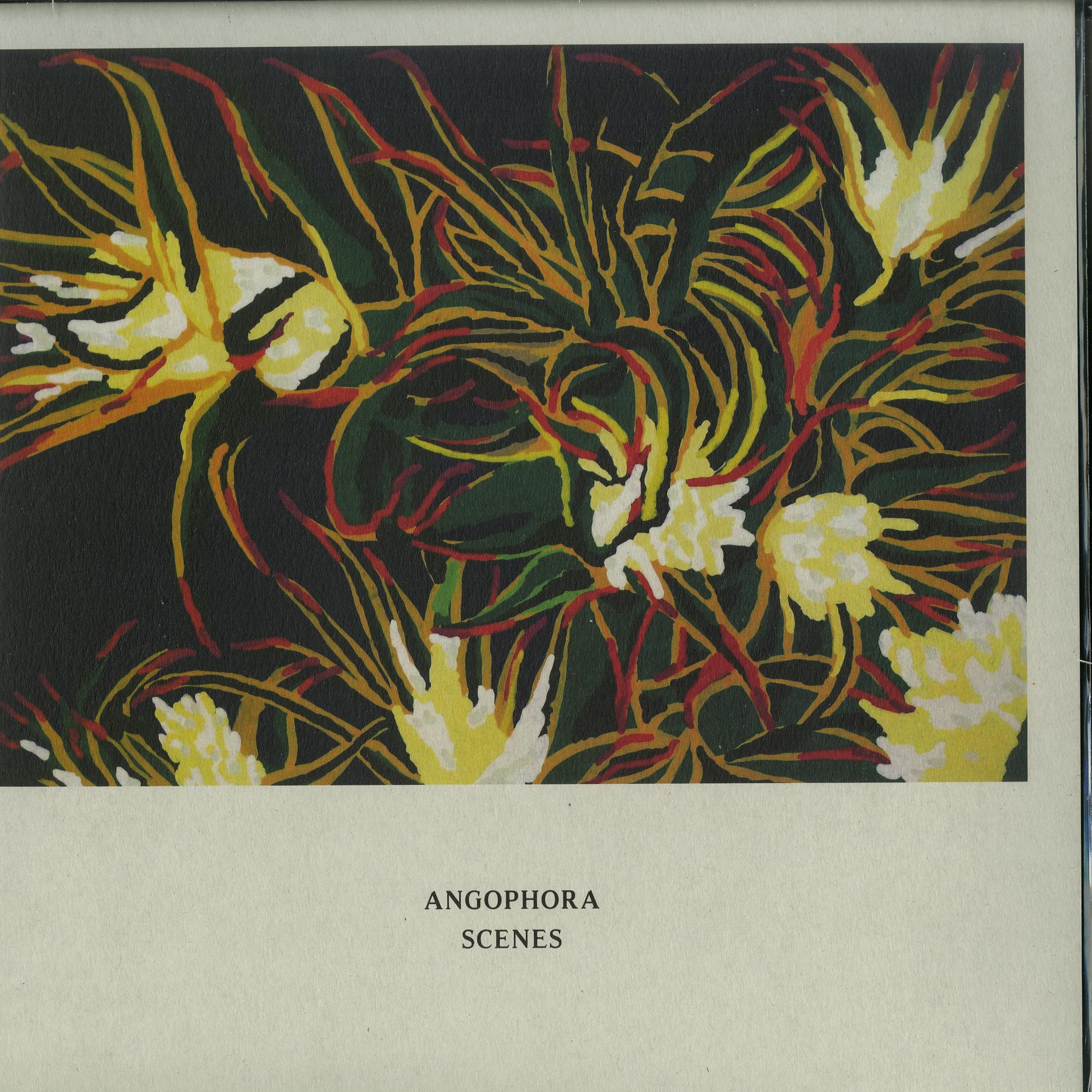 Angophora – Scenes Angophora - Scenes | Angophora | Ken Oath Records