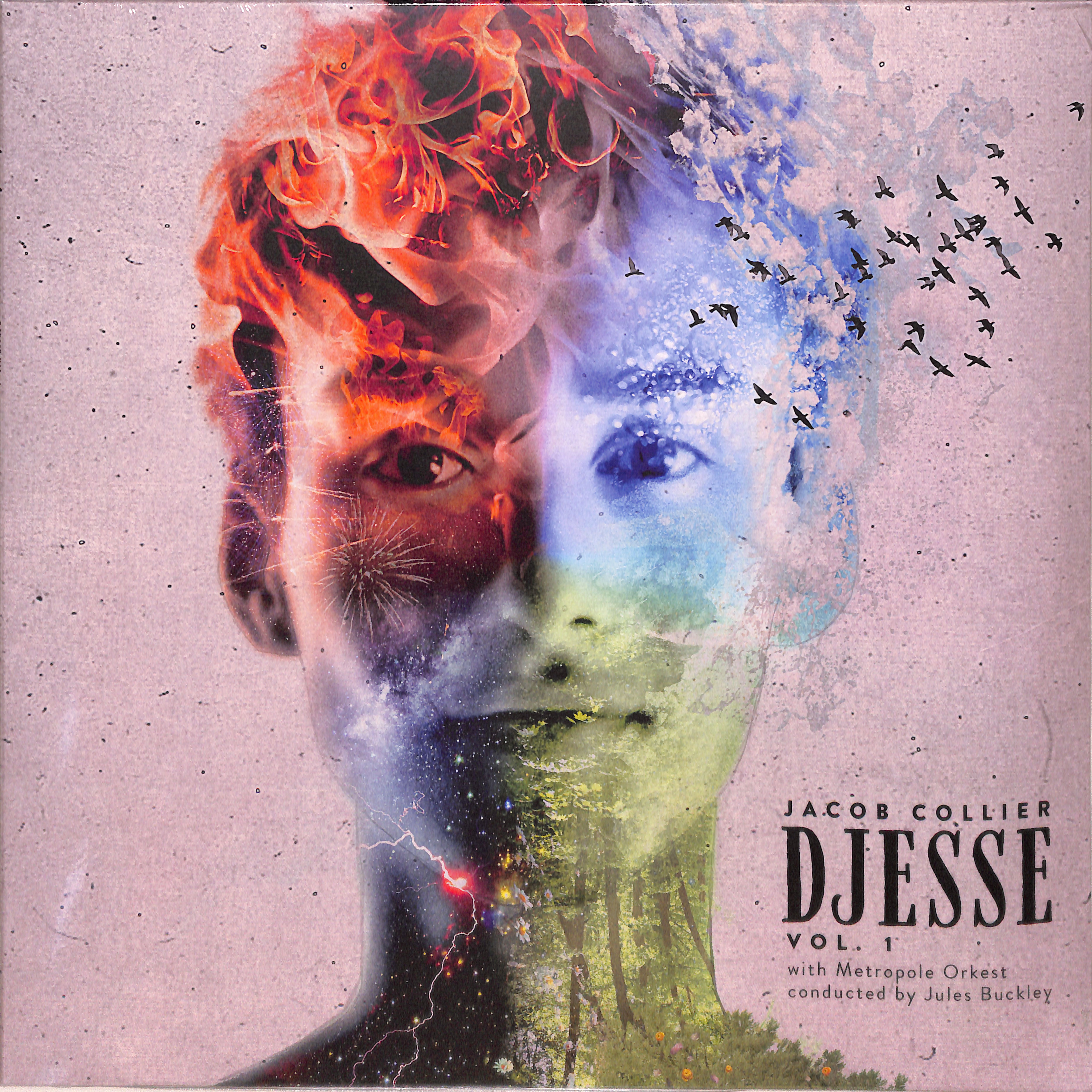 JACOB COLLIER - VOL. 1 NEW CD