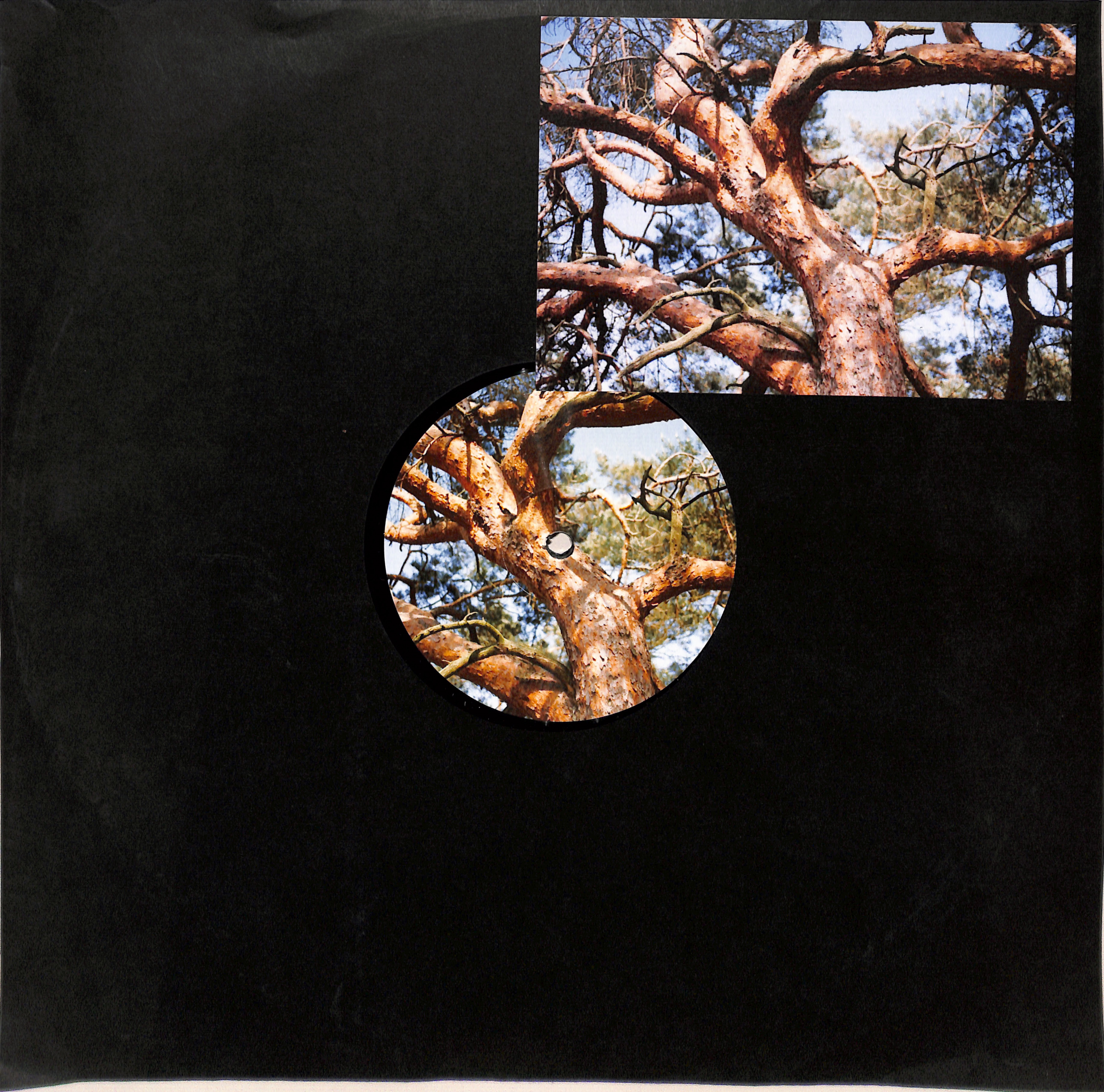 Autorhythm – Untitled Various - Untitled